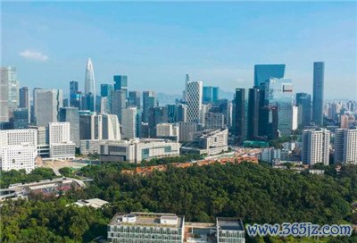 打造精英团队，开启高端模特经纪事业